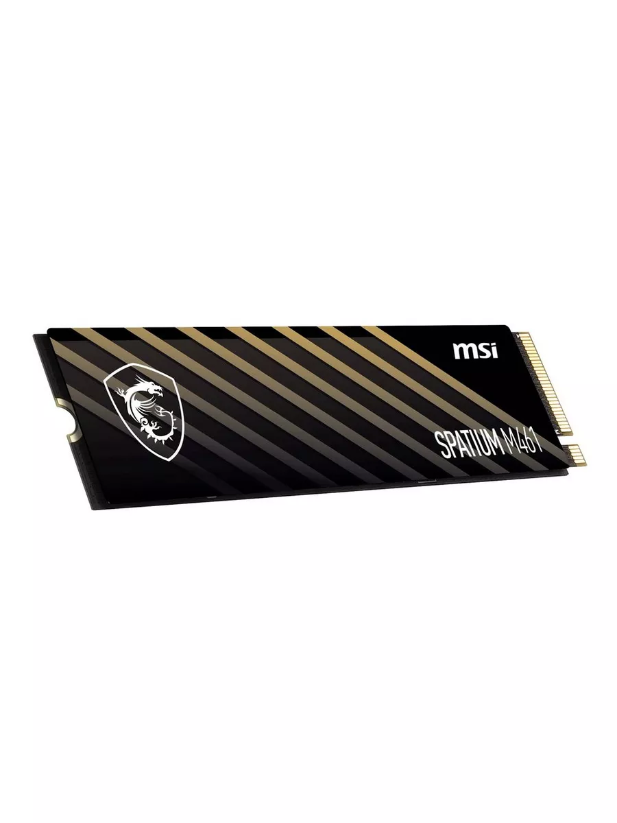 Жесткий диск SSD 1TB M.2 SPATIUM M461 (S78-440L1D0-P83)